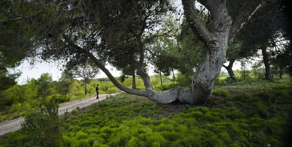 Villa In Spain At Las Colinas Golf & Country Club Dehesa de Campoamor  Экстерьер фото